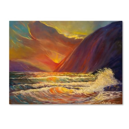 Manor Shadian 'Hawaiian Coastal Sunset' Canvas Art,14x19